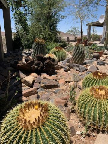 3 Aloes Guesthouse Uis Bagian luar foto