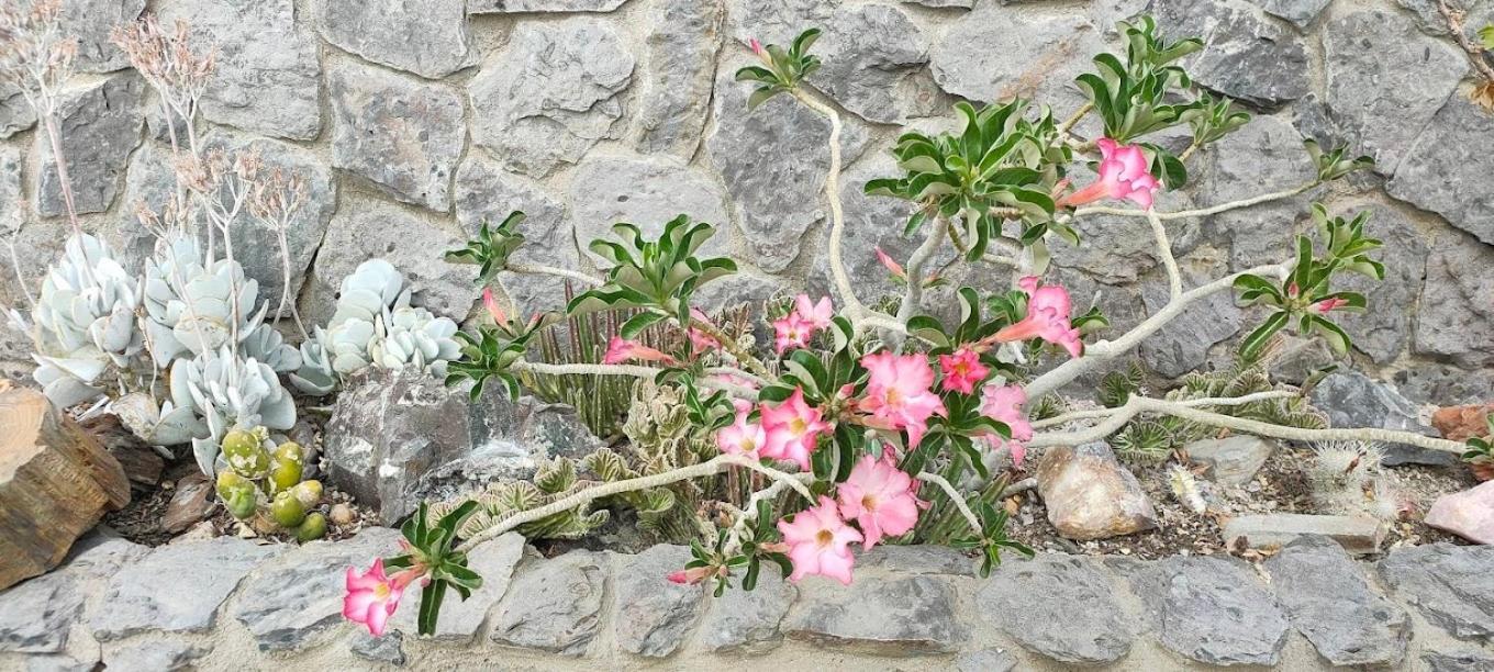 3 Aloes Guesthouse Uis Bagian luar foto